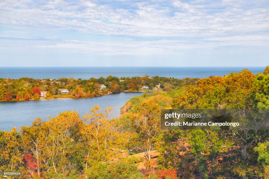 View of Scargo Lake from above