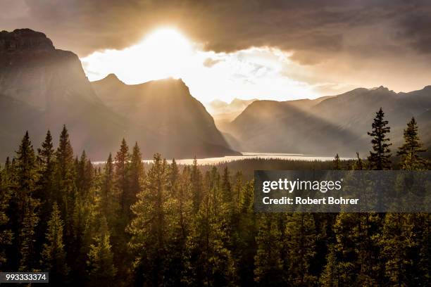 crepuscular rays over hector lake in banff np - bohrer stockfoto's en -beelden