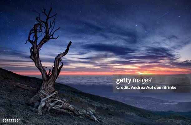 beyond the sky - auf dem land imagens e fotografias de stock