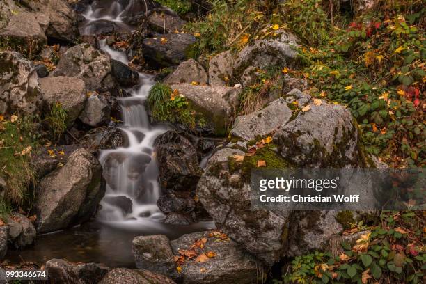 todtnauer wasserfall im herbst - wasserfall stock pictures, royalty-free photos & images
