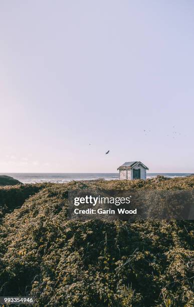 a coastal shack. - garin stock pictures, royalty-free photos & images