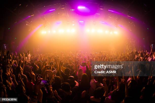 cheering crowd at a concert - haze nightclub stock pictures, royalty-free photos & images