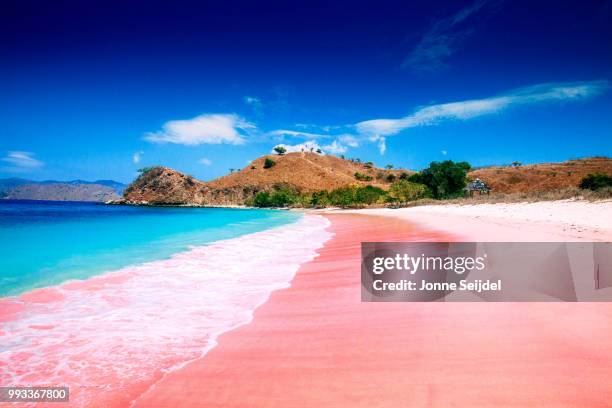 pink beach, komodo island - indonesien stock-fotos und bilder
