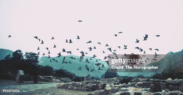 image of indian ghost the historic ruins of bhangarh, rajasthan - india ghost stock pictures, royalty-free photos & images