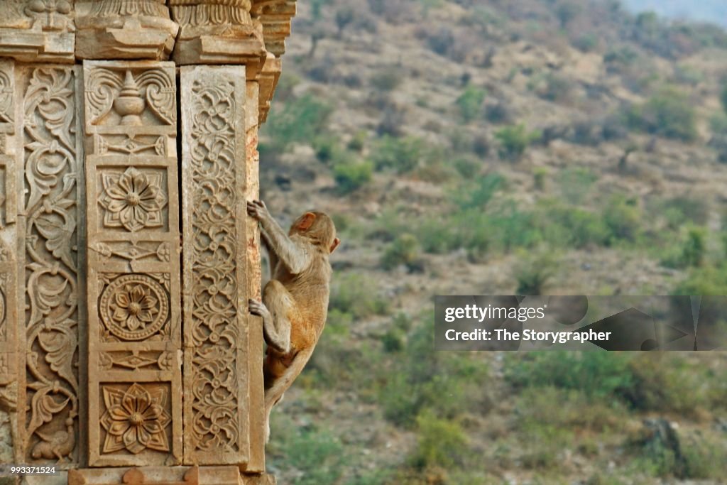 The historic ruins of Bhangarh, Rajasthan