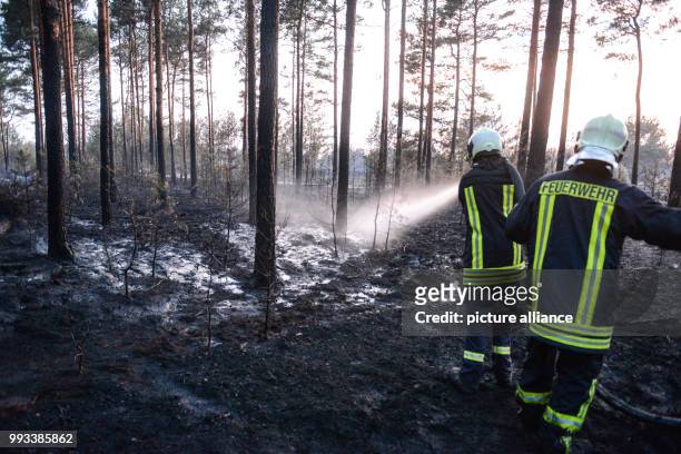 July 2018, Germany, Lieberose: Fire fighters extinguish embers at the former military training area in southern Brandenburg. Photo: Julian...