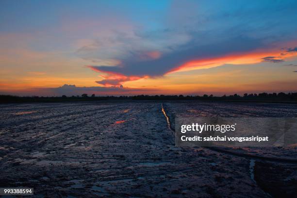 scenic view farm against dramatic sky during sunset, thailand - pathum thani stock pictures, royalty-free photos & images