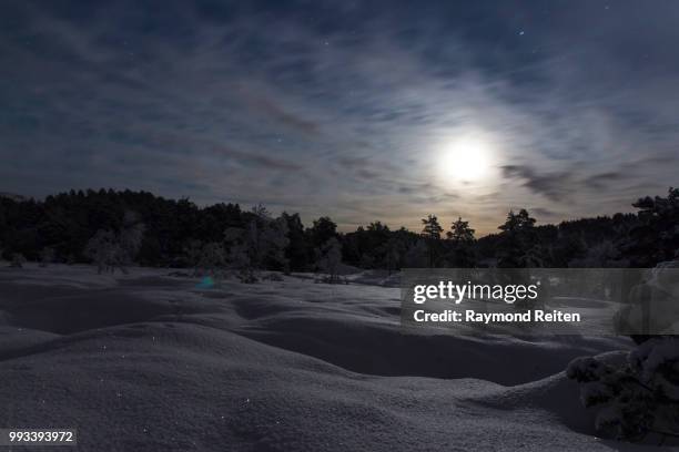 moony night - reifen stock pictures, royalty-free photos & images
