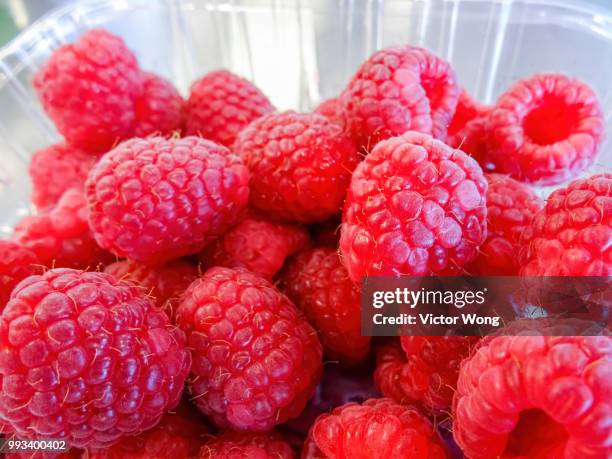 278 Raspberry Punnet Stock Photos, High-Res Pictures, and Images ...