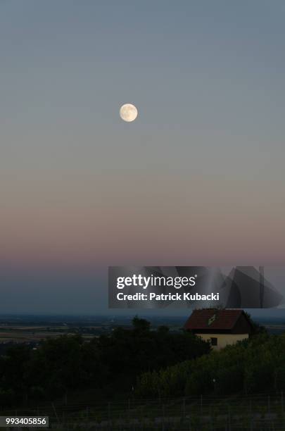 moon over the leininger land - kubacki stock pictures, royalty-free photos & images