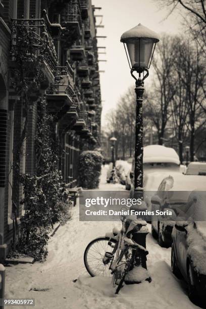 snowy amsterdam - soria stock pictures, royalty-free photos & images