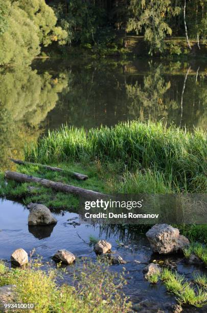river scape - romanov stock pictures, royalty-free photos & images