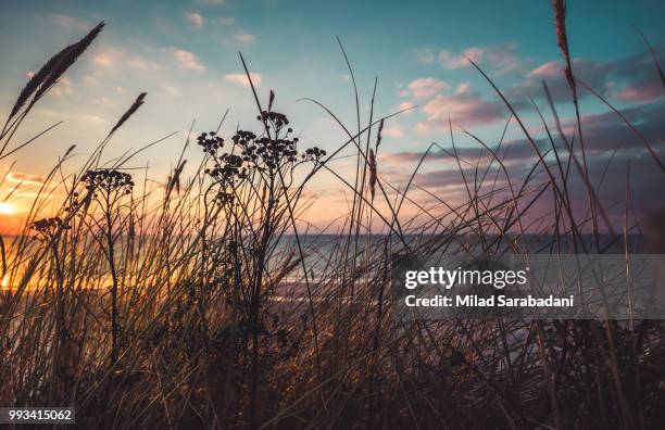 sylt sunset - milad stock pictures, royalty-free photos & images