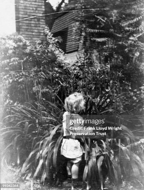 Llewellyn Wright in shrubbery by front of Home, at the Frank Lloyd Wright Home and Studio, located at 951 Chicago Avenue, Oak Park, Illinois, 1905.