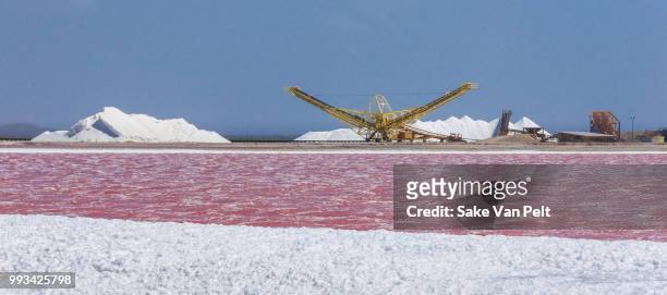 salt production, bonaire - caribisch nederland stockfoto's en -beelden