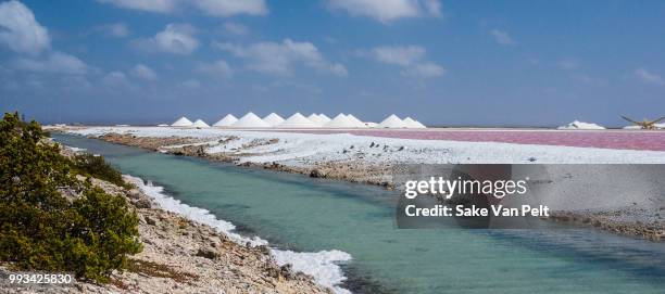 salt production, bonaire - caribisch nederland stockfoto's en -beelden