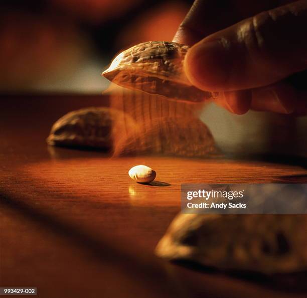 Shell Game Street Shell Game Photos and Premium High Res Pictures - Getty Images