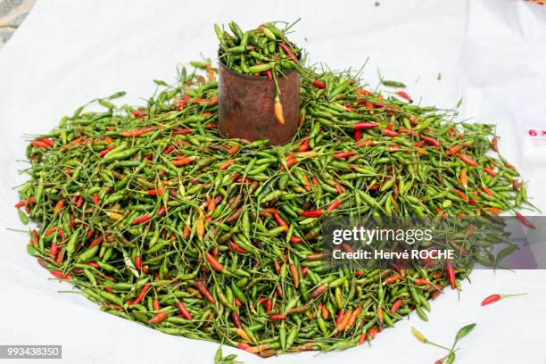 hot chili pepper - safflower stock pictures, royalty-free photos & images
