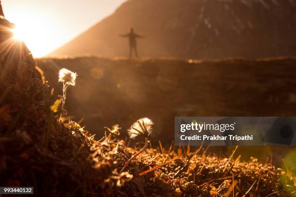 sunset at rohtang pass, india - rohtang stockfoto's en -beelden