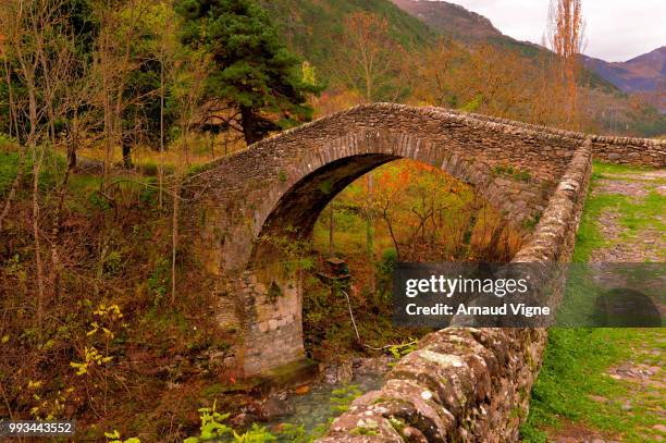 le pont du coq - mercantour - coq fotografías e imágenes de stock