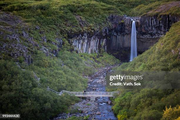 svartifoss a beautiful waterfall in iceland - sok stock pictures, royalty-free photos & images