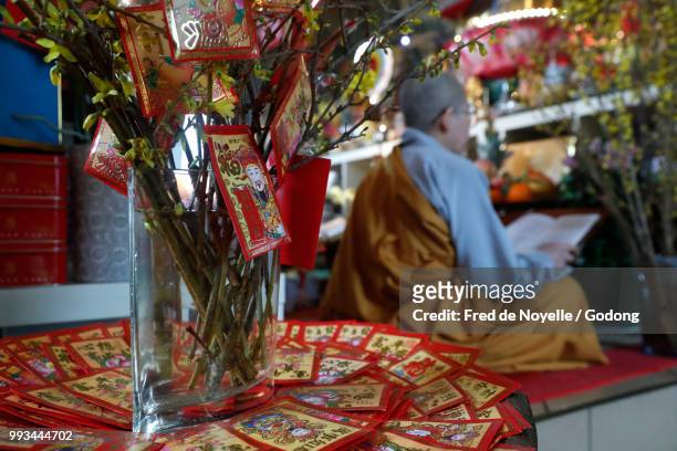 chua tu an buddhist temple. vietnamese new year ( tet ) celebration.  saint-pierre en faucigny. france. - buddhist new year photos et images de collection