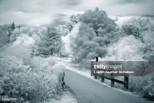 cloudy and windy walk - heather storm stock pictures, royalty-free photos & images