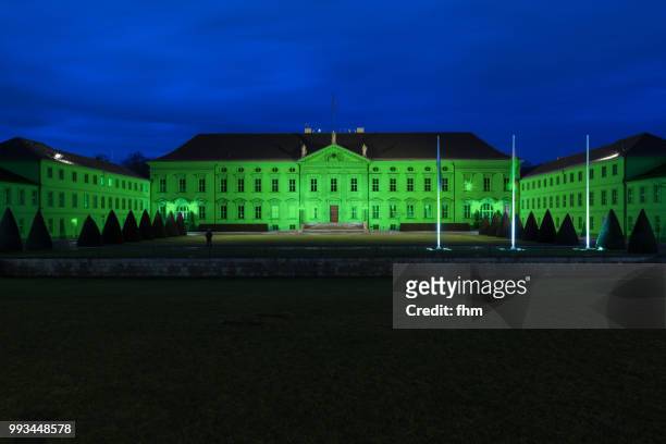 schloss bellevue at night green toned image (bellevue castle) - berlin, germany - bellevue skyline 個照片及圖片檔