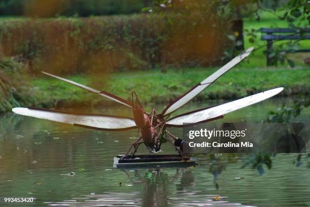 nature park - autumn - mia woods stock pictures, royalty-free photos & images