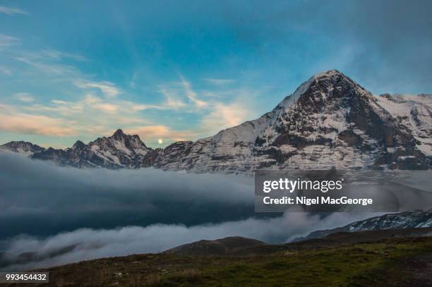 moon rising at sunset between eiger and schreckhorn - schreckhorn stock-fotos und bilder