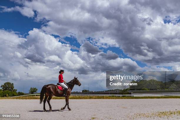 riding horse steadily - grace tame stock pictures, royalty-free photos & images