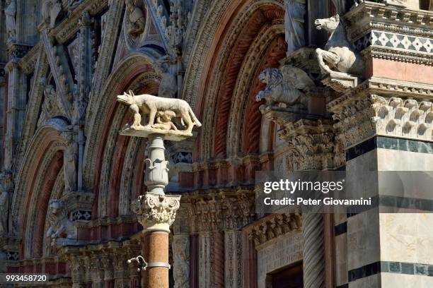 she-wolf with romulus and remus in front of the duomo of siena, cattedrale di santa maria assunta, siena, province of siena, tuscany, italy - classical mythology character stock-fotos und bilder