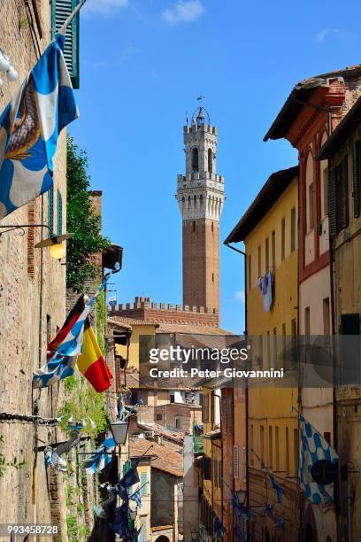 via giovanni dupre with the torre del mangia tower, siena, province of siena, tuscany, italy - torre del mangia stock pictures, royalty-free photos & images