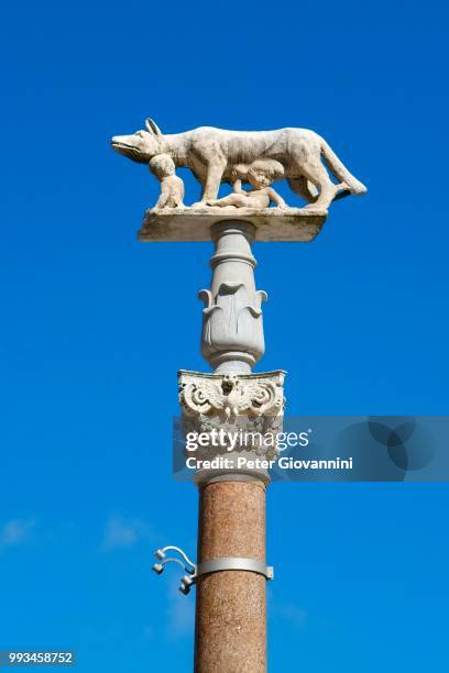 pillar of the she-wolf with romulus and remus in front of the duomo of siena, cattedrale di santa maria assunta, siena, province of siena, tuscany, italy - figur der klassischen mythologie stock-fotos und bilder