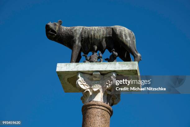 column with sculptures of remus, romulus and the she-wolf, pisa, tuscany, italy - classical mythology character stock-fotos und bilder