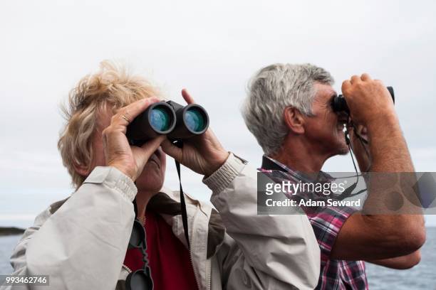 couple, 60-65 years, using binoculars, northumberland, england, united kingdom - 60 69 years foto e immagini stock