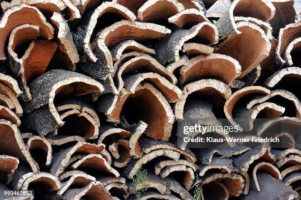 storage of cork bark of cork oaks (quercus suber), portugal - cork tree stock-fotos und bilder