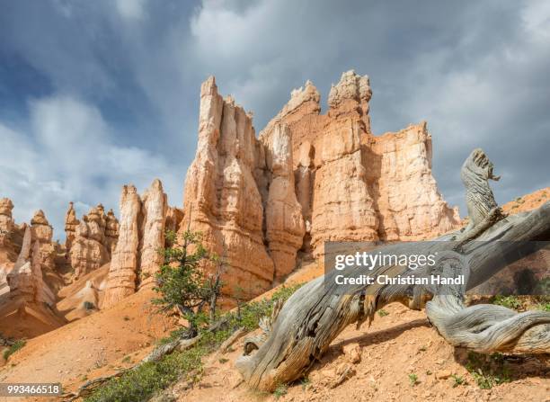 Navajo Rocks Loop Navajo Loop Trail Photos and Premium High Res Pictures - Getty Images