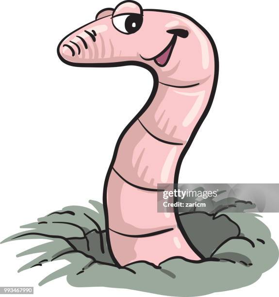 wurm in ein loch - wurm stock-grafiken, -clipart, -cartoons und -symbole