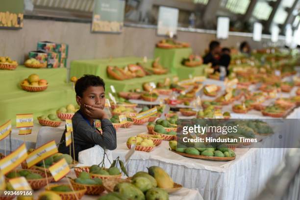 Boy looks on at a mango stall during Mango Festival at Dilli Haat in Janakpuri, on July 7, 2018 in New Delhi, India. The three day festival is being...
