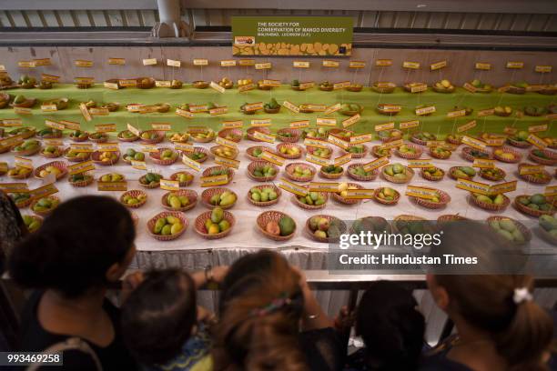 Commercially popular and rare varieties of mangoes are displayed during Mango Festival at Dilli Haat in Janakpuri, on July 7, 2018 in New Delhi,...