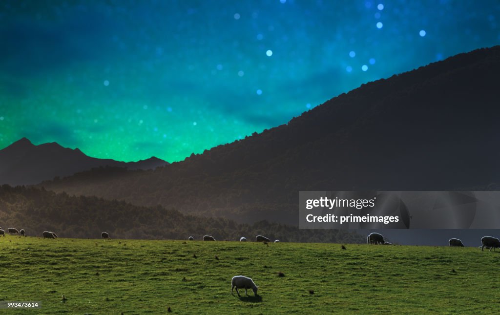 Panorama Naturlandschaft in Südinsel Neuseeland mit Milchstraße