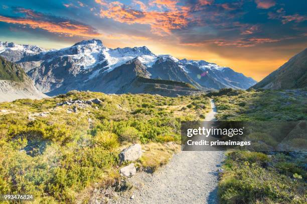 jonge reiziger het nemen van foto in mt cook famaus bestemming in nieuw-zeeland - mt cook range stockfoto's en -beelden