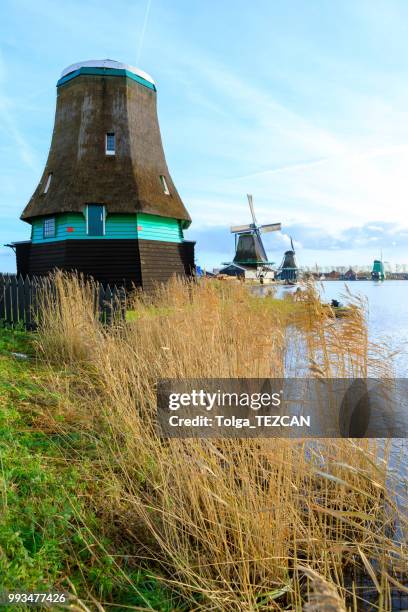 molino de viento en zaanse schans, países bajos - molinos de zaandam fotografías e imágenes de stock