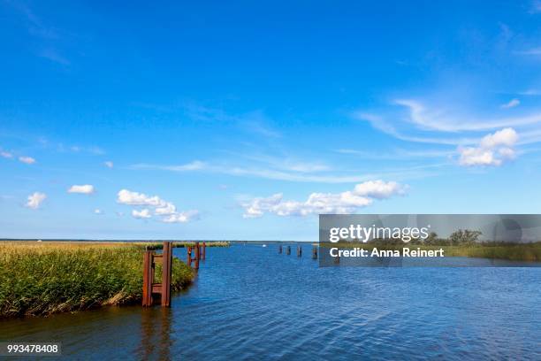 bodstedter bodden, lagoon, western pomerania lagoon area national park, near bresewitz, fischland-darss-zingst, mecklenburg-western pomerania, germany - vorpommersche boddenlandschaft national park stockfoto's en -beelden
