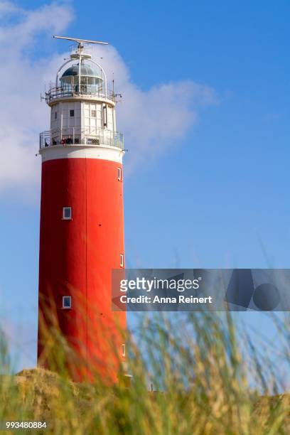 eierland lighthouse with dunes, de cocksdorp, texel, west frisian islands, north holland, holland, the netherlands - friesland noord holland imagens e fotografias de stock