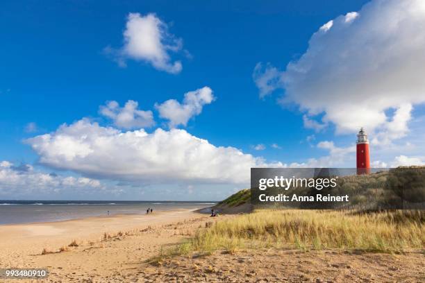 eierland lighthouse with dunes, de cocksdorp, texel, west frisian islands, north holland, holland, the netherlands - friesland noord holland imagens e fotografias de stock