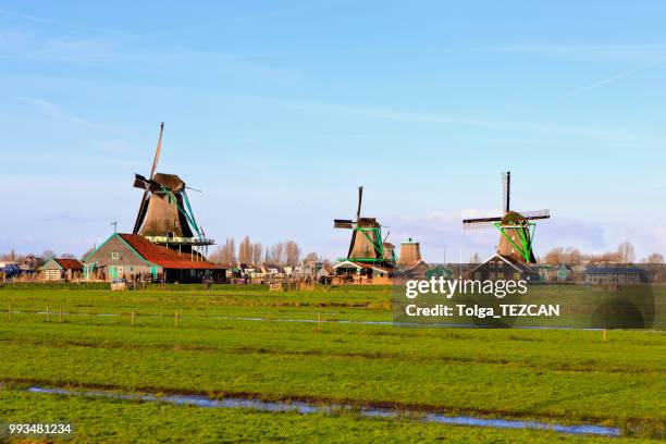molino de viento en zaanse schans, países bajos - molinos de zaandam fotografías e imágenes de stock