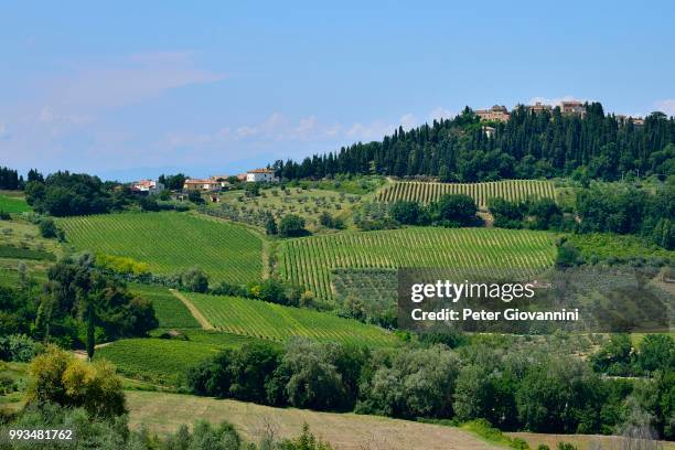 landscape with vineyards in the chianti classico winegrowing area??, lecchi in chianti, province of siena, tuscany, italy - siena province - fotografias e filmes do acervo