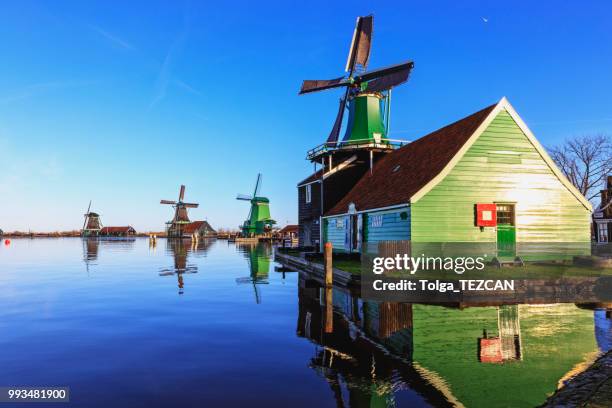 molino de viento en zaanse schans, países bajos - molinos de zaandam fotografías e imágenes de stock